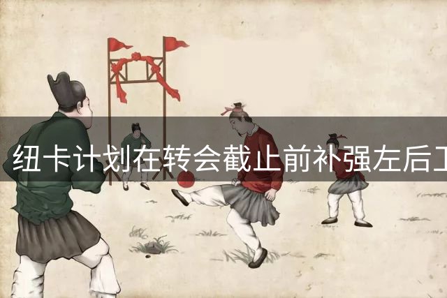 纽卡计划在转会截止前补强左后卫和前锋